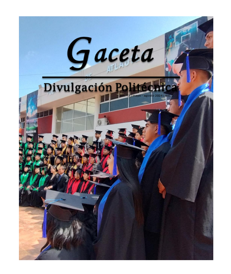 gaceta 13